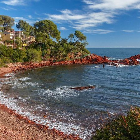 Un Grand Studio Face Au Port De Santa Lucia Сен-Рафаель Екстер'єр фото